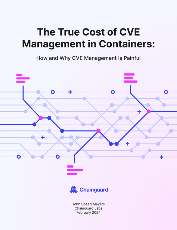 The True Cost of CVE Management in Containers