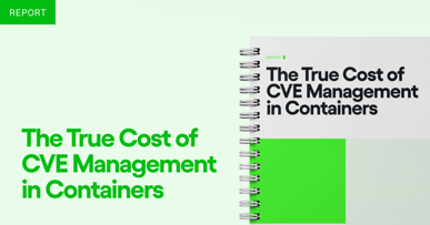 The True Cost of CVE Management in Containers | Chainguard
