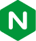 nginx bug